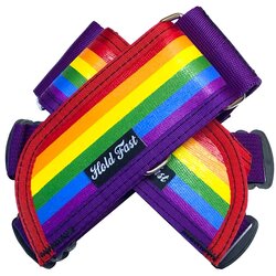 Hold Fast Pride Pedal Straps