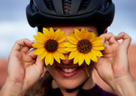 North Division Bicycle Shop & Hillyard Bicycle logo