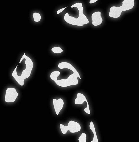 Bookman Visibility Reflective Stickers Color: Leopard - Black