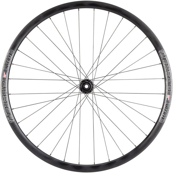 Quality Wheels Formula/Velocity Aileron Front Wheel - 700, 12 x 100mm, Center-Lock, Black