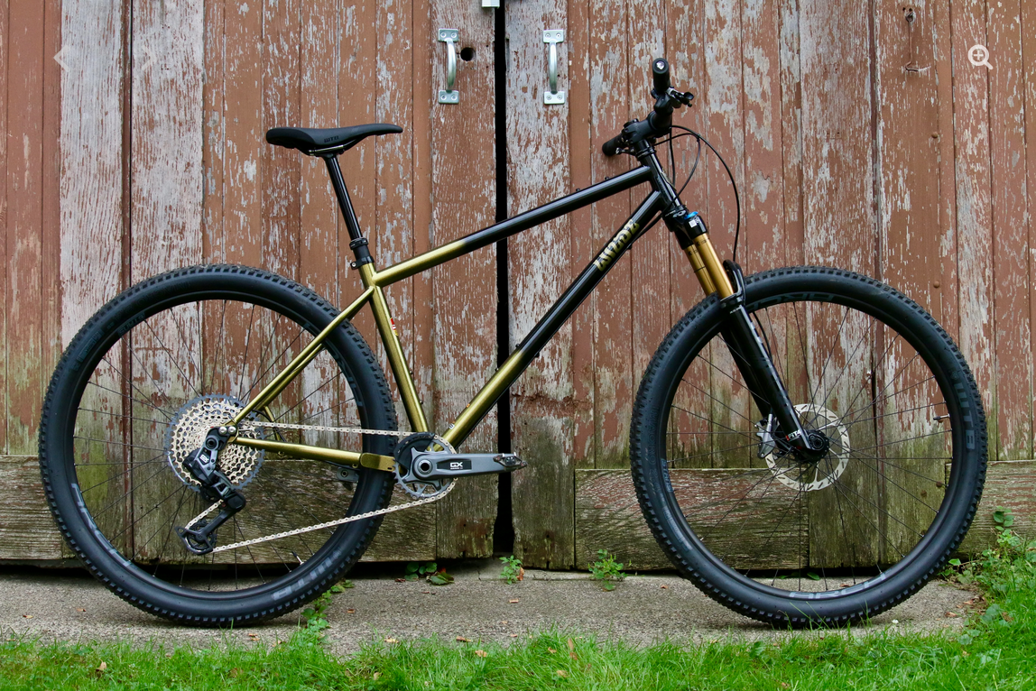 Wilde Dark Star - Hardtail MTB - Angry Catfish | Minneapolis Bike