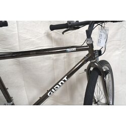 Store-Branded Trade-In: Giant Iguana 19in - Brown