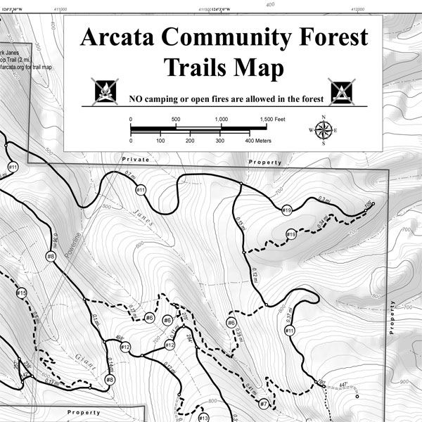 The Arcata Community Forest