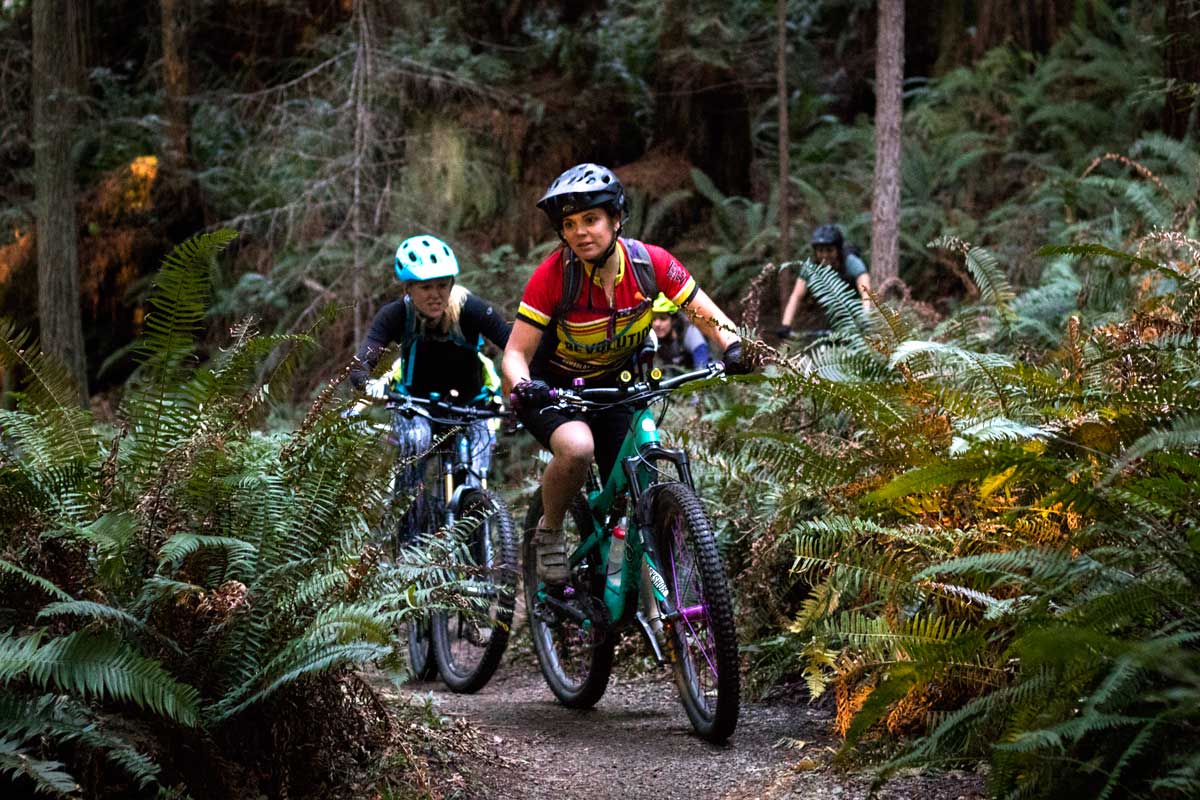 Riding in the Arcata Community Forest