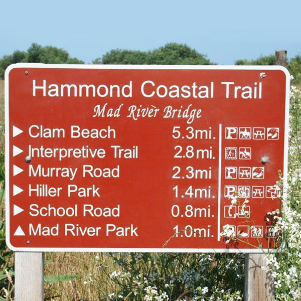 The Hammond Trail