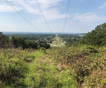 Conway Fall Classic Easy Peasy (20mi) - The Ride