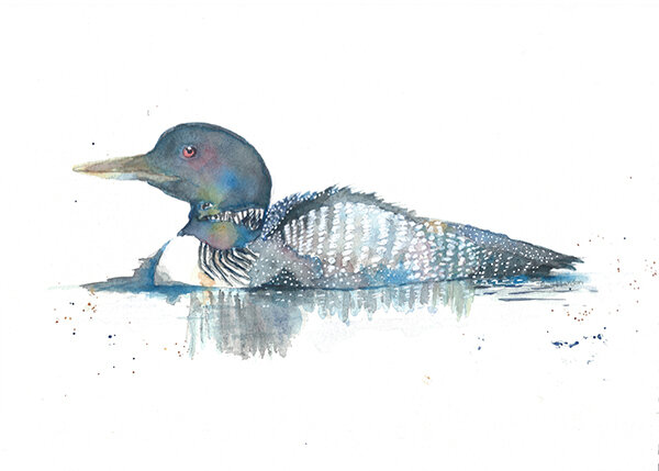 Art by Amy Loon Watercolor Print