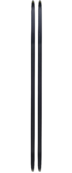 Fischer Speedmax 3D 812 Classic IFP Ski - New Moon Ski & Bike