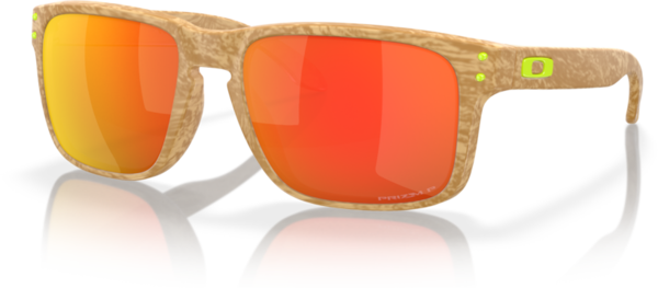 Oakley Holbrook Polarized