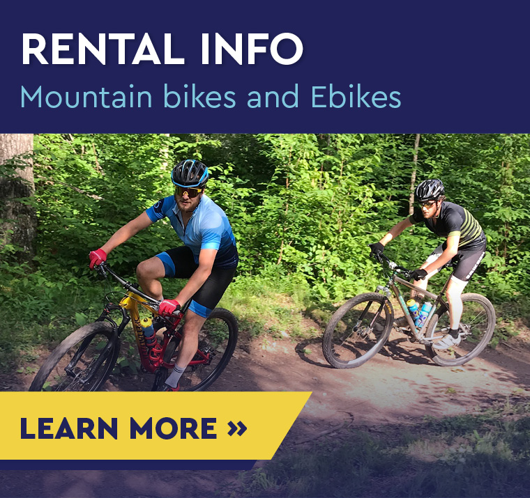 Rental Bike Information