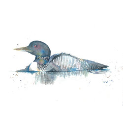 Art by Amy Loon Watercolor Print