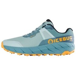 Icebug Women's Arcus BUGrip® GTX Studded Running Shoes