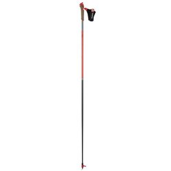 Rossignol WCS Poles