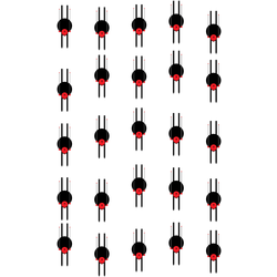 Studio 13 Race Start