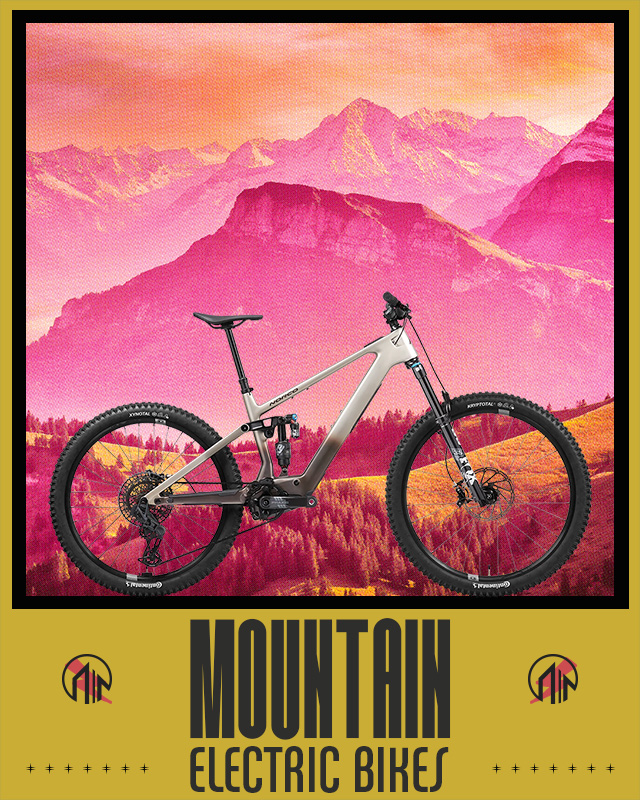 Mountain Electric Bikes
