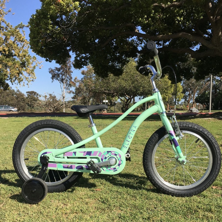 Electra's Sprocket kid's bike is great for beginners