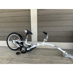  WeeRide Tag-a-long 20