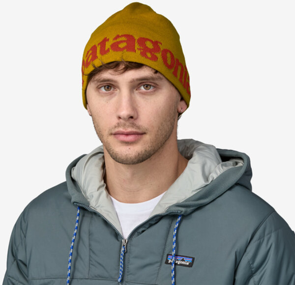 Patagonia Beanie Hat