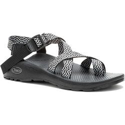 Chaco W's ZCloud 2