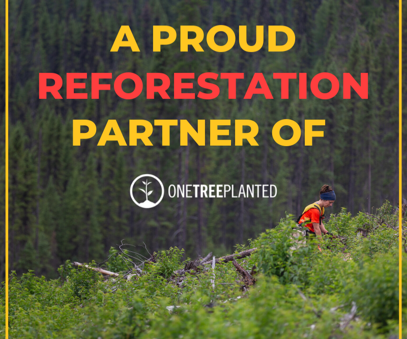 One Tree Planted reforestation partner