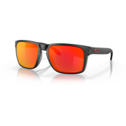 Oakley Holbrook XL 