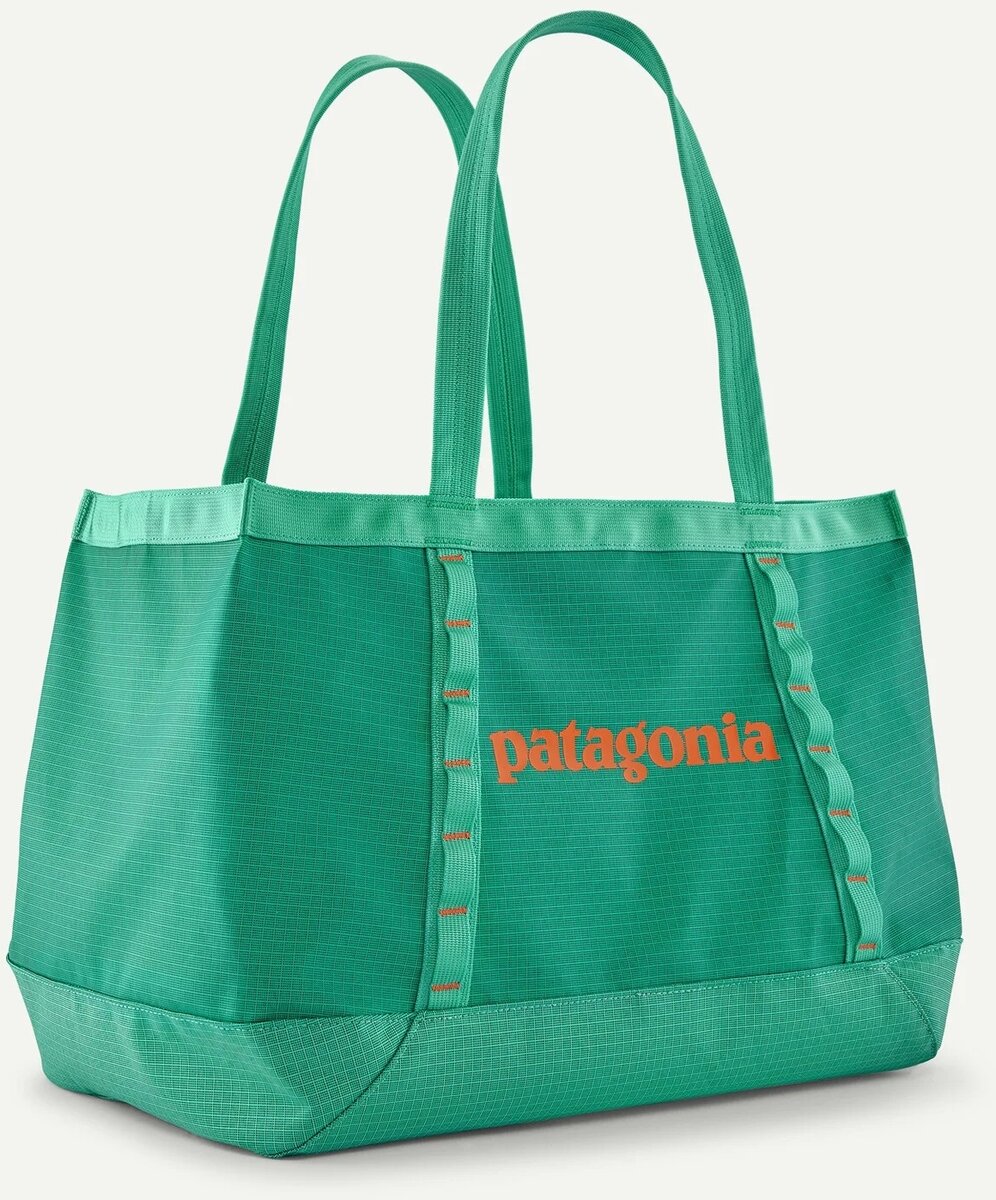 Patagonia メッセンジャーバッグ ダークグリーン メイドインUSA Black Hole® Mini Messenger 12L – Patagonia Worn Wear®