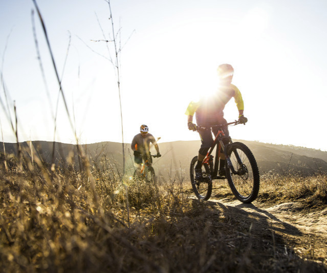 people riding bikes