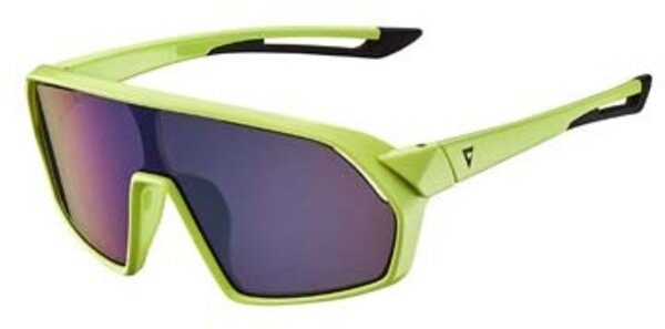 Giant Astra Junior Frame