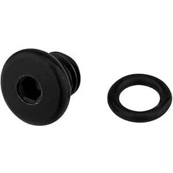 Shimano BL-M6000 Bleed Screw & O-Ring