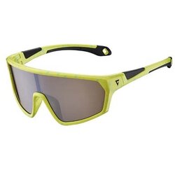 Giant Astra Youth Frame