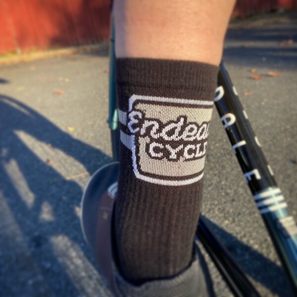 Endeavor Cycles Endeavor Socks 