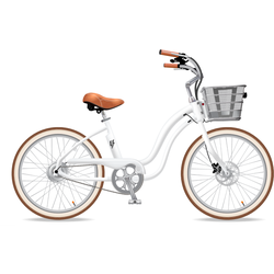 Electric Bike Company Model Y (Step-Thru) Battery in Basket