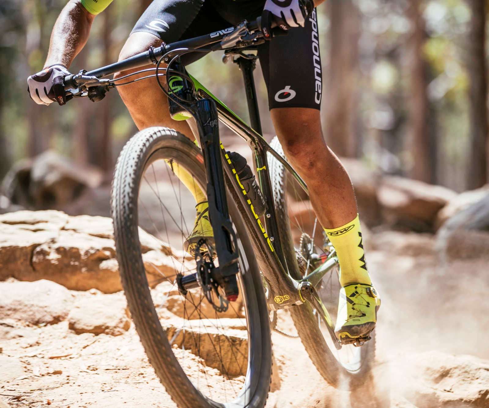 Bay Area Cycling Houston Pasadena & League City Bike Shop