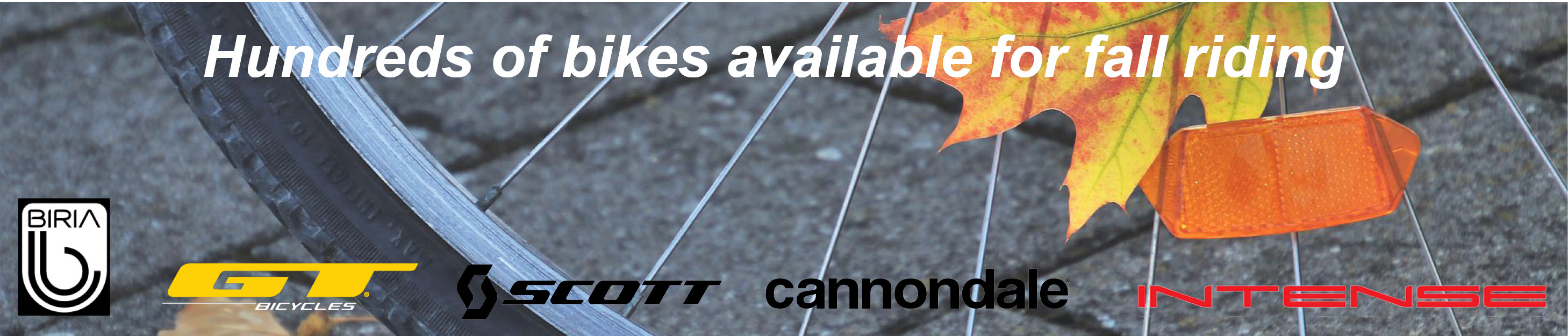 Action Sports Bicycle Center Branford & Old Saybrook, CT