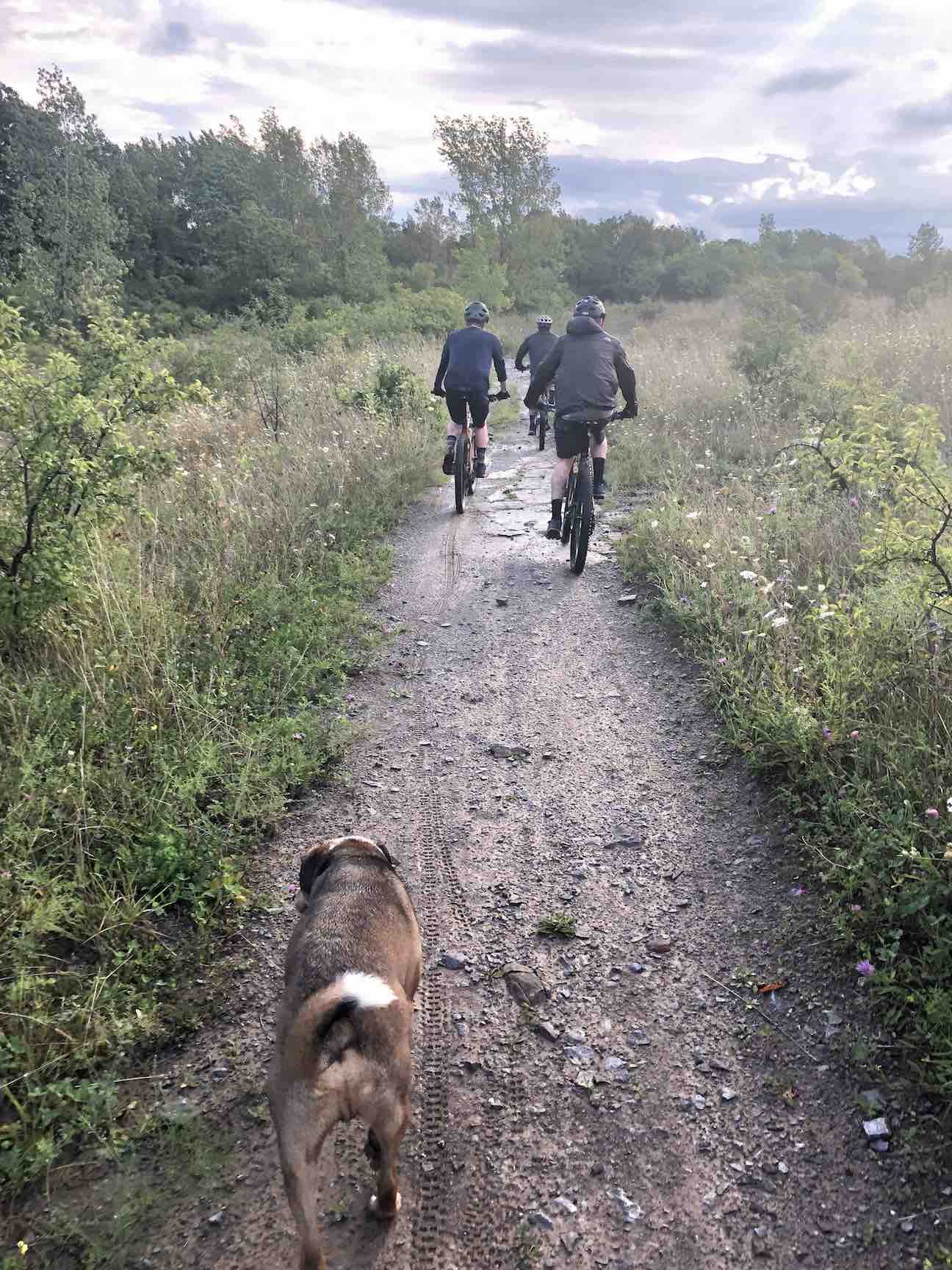 Gravel ride with dog