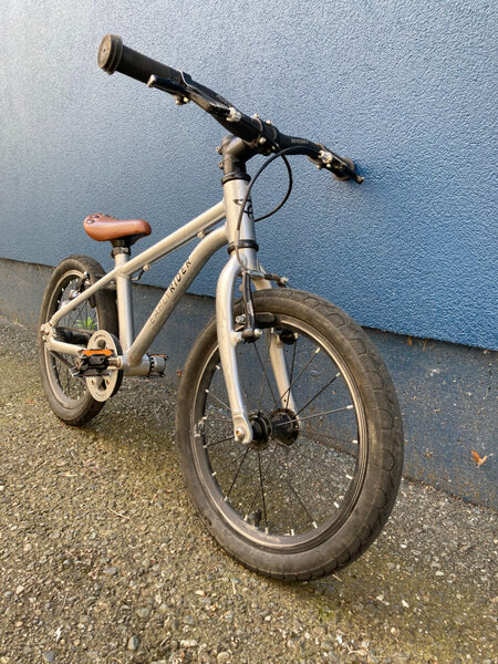 Trade-In Early Rider 16"