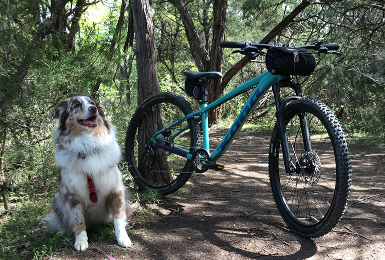 trees shade dirt trail and leashed dog next to Kona MTB