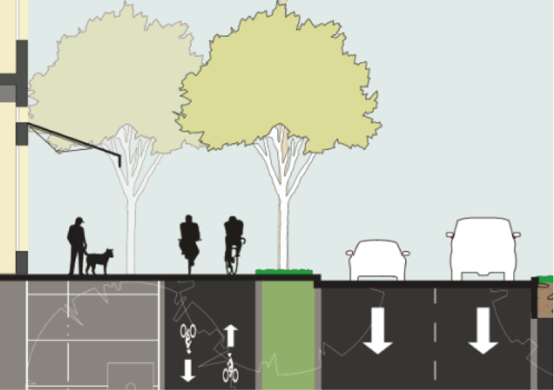 Sample street design with tree lined barrier between cars and bike lane