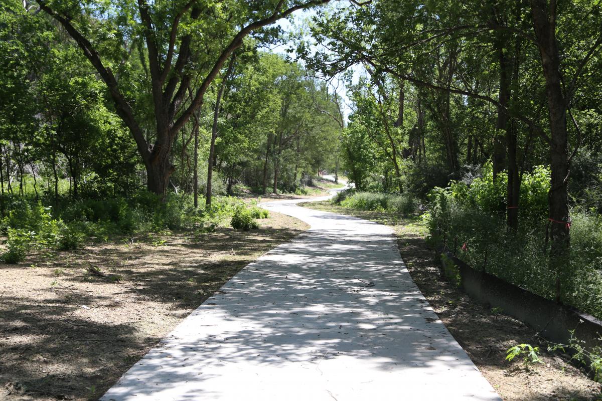 paved path winds through shade trees