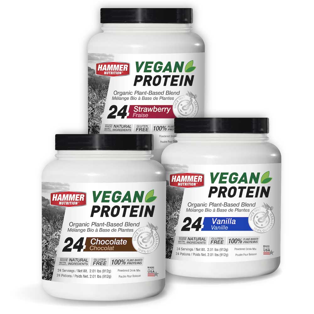 3 flavors of Vegan Protein Powder