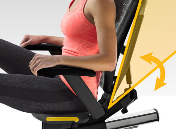 LifeSpan Fitness R5i Recumbent 