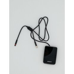 Giant 21 SG Evo LCD Display color