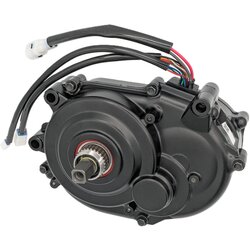 Giant Yamaha SyncDrive Life Motor 20mph