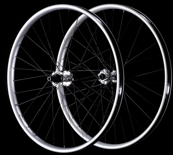 Tenet Tenet Coven 1/1 Silver Wheelset 29