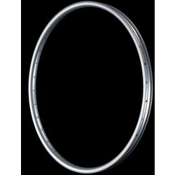 Tenet Coven Rim 27.5 Silver 32h