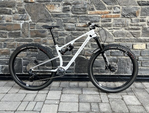 Rocky Mountain Element Custom