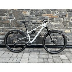 Rocky Mountain Element Custom