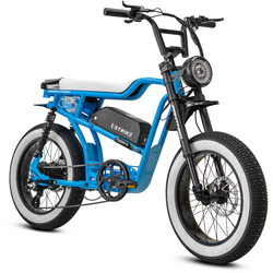 Golden Cycles Panthro