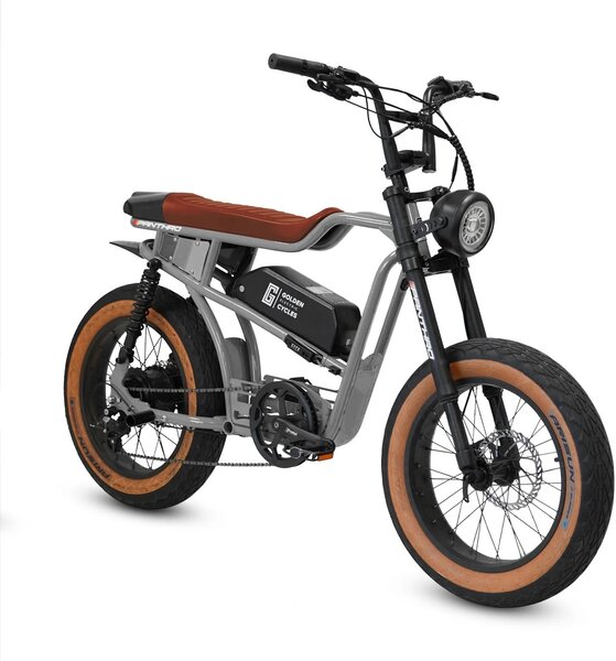 Golden Cycles Panthro Golden Cycles Panthro