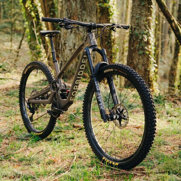 Forbidden Bike Company Druid XT DEMO